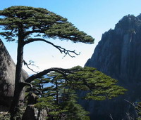 Mount Huangshan and Jingde Town Tour